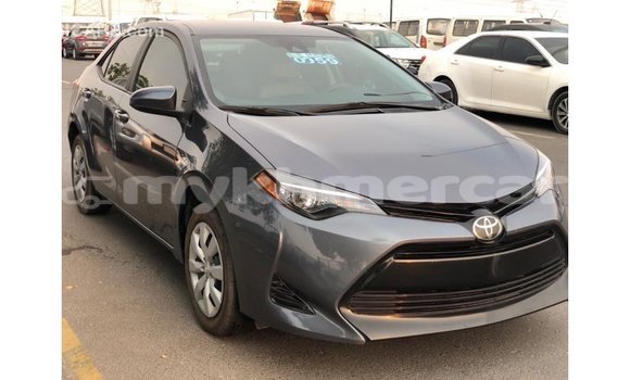 ទិញ នាំចូល Toyota Corolla Other ឡាន} ក្នុង Import - Dubai ក្នុង Kampot Province ទិញ នាំចូល Toyota Corolla Other ឡាន} ក្នុង Import - Dubai ក្នុង Kampot Province