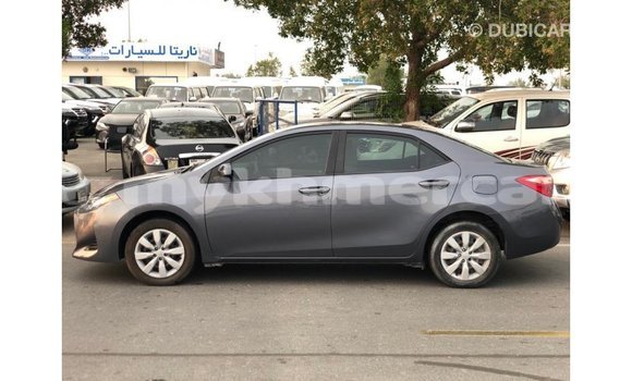 ទិញ នាំចូល Toyota Corolla Other ឡាន} ក្នុង Import - Dubai ក្នុង Kampot Province ទិញ នាំចូល Toyota Corolla Other ឡាន} ក្នុង Import - Dubai ក្នុង Kampot Province