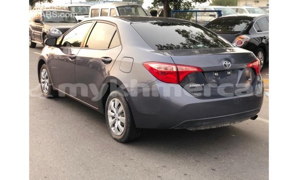 ទិញ នាំចូល Toyota Corolla Other ឡាន} ក្នុង Import - Dubai ក្នុង Kampot Province ទិញ នាំចូល Toyota Corolla Other ឡាន} ក្នុង Import - Dubai ក្នុង Kampot Province