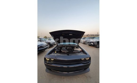Buy Import Dodge Challenger Black Car in Import - Dubai in Kampot Province Buy Import Dodge Challenger Black Car in Import - Dubai in Kampot Province
