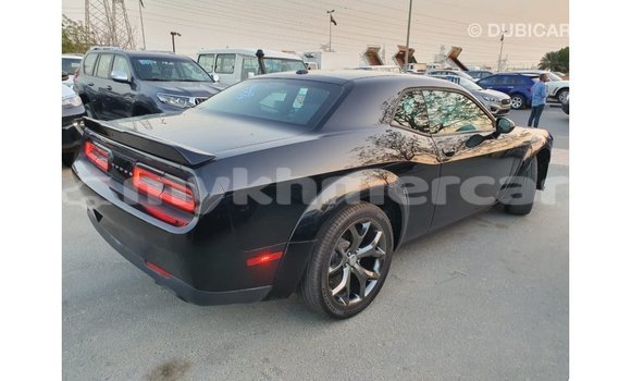 Buy Import Dodge Challenger Black Car in Import - Dubai in Kampot Province Buy Import Dodge Challenger Black Car in Import - Dubai in Kampot Province