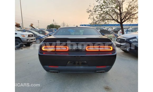 Buy Import Dodge Challenger Black Car in Import - Dubai in Kampot Province Buy Import Dodge Challenger Black Car in Import - Dubai in Kampot Province