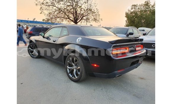 Buy Import Dodge Challenger Black Car in Import - Dubai in Kampot Province Buy Import Dodge Challenger Black Car in Import - Dubai in Kampot Province