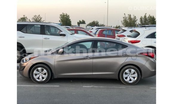 Buy Import Hyundai Elantra Brown Car in Import - Dubai in Kampot Province Buy Import Hyundai Elantra Brown Car in Import - Dubai in Kampot Province