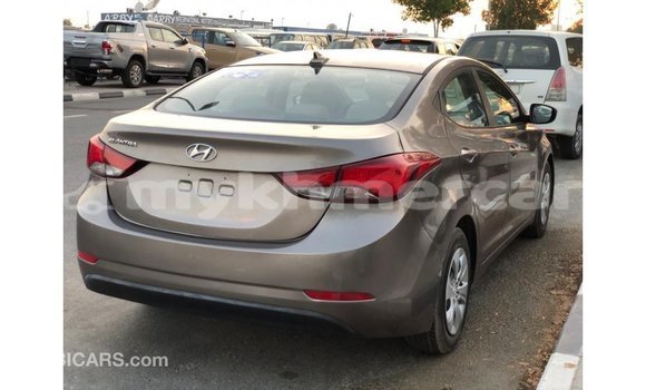 Buy Import Hyundai Elantra Brown Car in Import - Dubai in Kampot Province Buy Import Hyundai Elantra Brown Car in Import - Dubai in Kampot Province