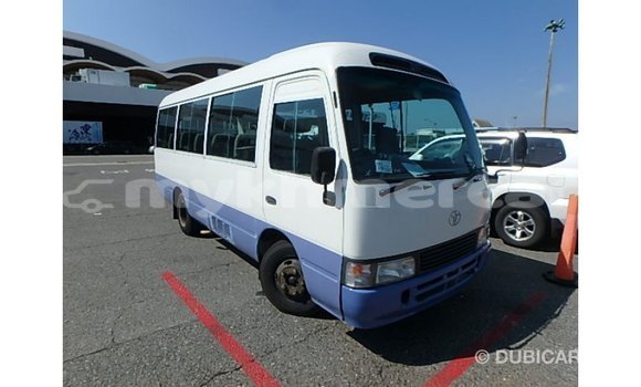 Buy Import Toyota Coaster White Car in Import - Dubai in Kampot Province Buy Import Toyota Coaster White Car in Import - Dubai in Kampot Province