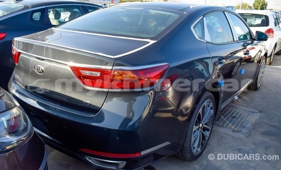 Buy Import Kia Cadenza Other Car in Import - Dubai in Kampot Province