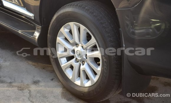 Buy Import Toyota Prado Other Car in Import - Dubai in Kampot Province Buy Import Toyota Prado Other Car in Import - Dubai in Kampot Province