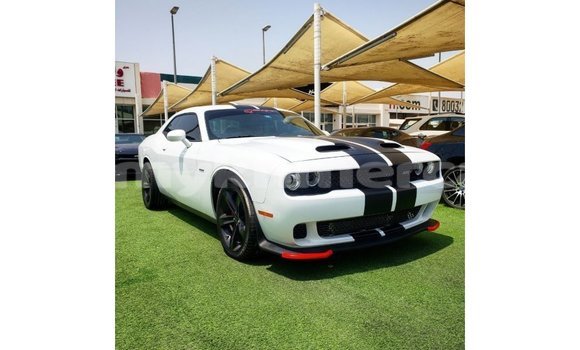 Buy Import Dodge Challenger White Car in Import - Dubai in Kampot Province
