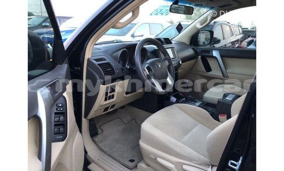 Buy Import Toyota Prado Black Car in Import - Dubai in Kampot Province Buy Import Toyota Prado Black Car in Import - Dubai in Kampot Province