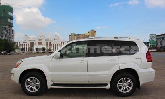 Buy Used Lexus GX White Car in Phnom Penh in Phnom Penh