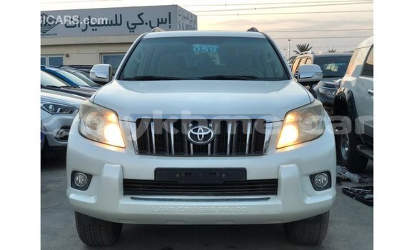 ទិញ នាំចូល Toyota Prado White ឡាន} ក្នុង Import - Dubai ក្នុង Kampot Province ទិញ នាំចូល Toyota Prado White ឡាន} ក្នុង Import - Dubai ក្នុង Kampot Province