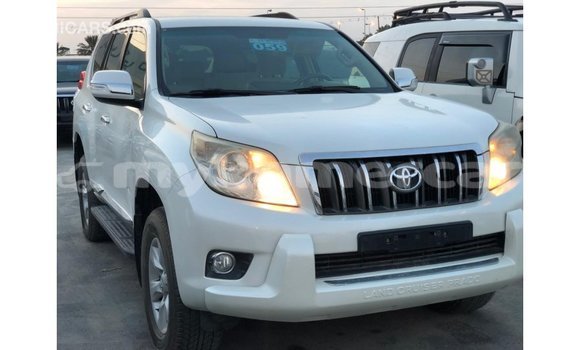 ទិញ នាំចូល Toyota Prado White ឡាន} ក្នុង Import - Dubai ក្នុង Kampot Province ទិញ នាំចូល Toyota Prado White ឡាន} ក្នុង Import - Dubai ក្នុង Kampot Province