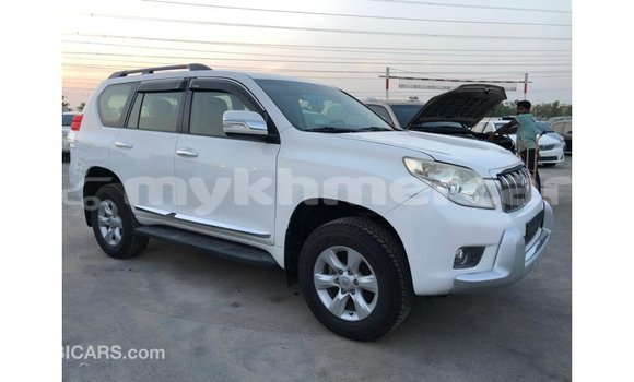 ទិញ នាំចូល Toyota Prado White ឡាន} ក្នុង Import - Dubai ក្នុង Kampot Province ទិញ នាំចូល Toyota Prado White ឡាន} ក្នុង Import - Dubai ក្នុង Kampot Province