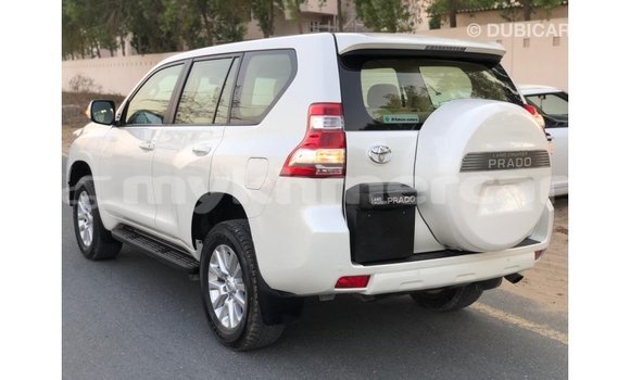 ទិញ នាំចូល Toyota Prado White ឡាន} ក្នុង Import - Dubai ក្នុង Kampot Province ទិញ នាំចូល Toyota Prado White ឡាន} ក្នុង Import - Dubai ក្នុង Kampot Province