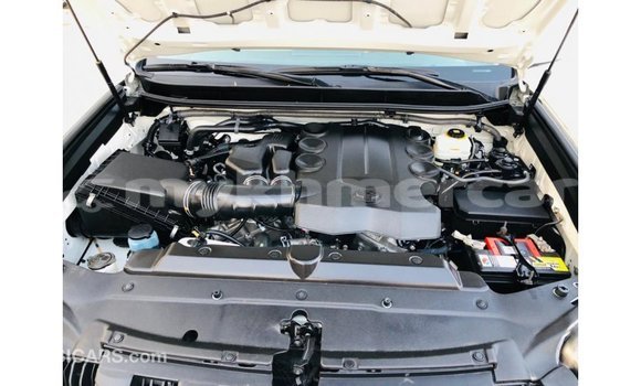 ទិញ នាំចូល Toyota Prado White ឡាន} ក្នុង Import - Dubai ក្នុង Kampot Province ទិញ នាំចូល Toyota Prado White ឡាន} ក្នុង Import - Dubai ក្នុង Kampot Province