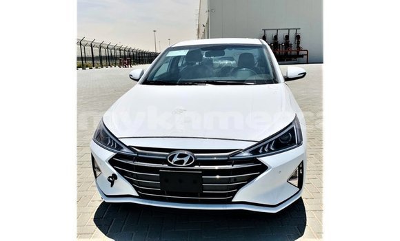 Buy Import Hyundai Elantra White Car in Import - Dubai in Kampot Province