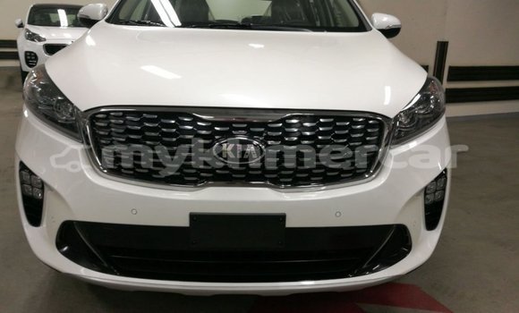Buy Import Kia Sorento White Car in Import - Dubai in Kampot Province Buy Import Kia Sorento White Car in Import - Dubai in Kampot Province