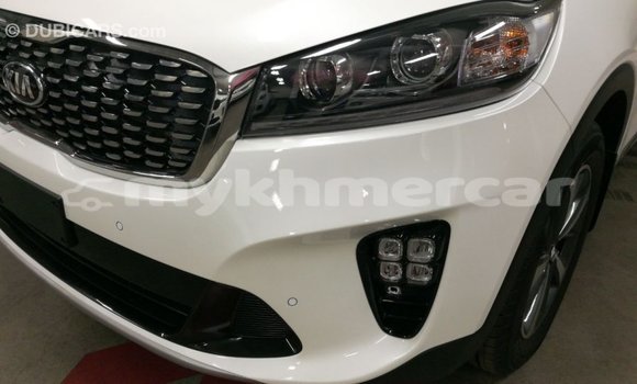 Buy Import Kia Sorento White Car in Import - Dubai in Kampot Province Buy Import Kia Sorento White Car in Import - Dubai in Kampot Province