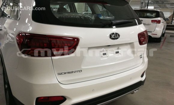 Buy Import Kia Sorento White Car in Import - Dubai in Kampot Province Buy Import Kia Sorento White Car in Import - Dubai in Kampot Province