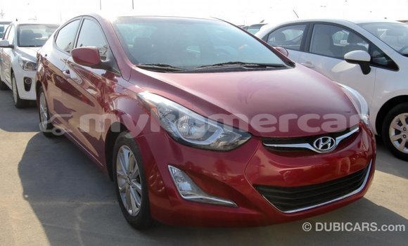 Buy Import Hyundai Elantra Red Car in Import - Dubai in Kampot Province Buy Import Hyundai Elantra Red Car in Import - Dubai in Kampot Province