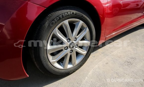 Buy Import Hyundai Elantra Red Car in Import - Dubai in Kampot Province Buy Import Hyundai Elantra Red Car in Import - Dubai in Kampot Province