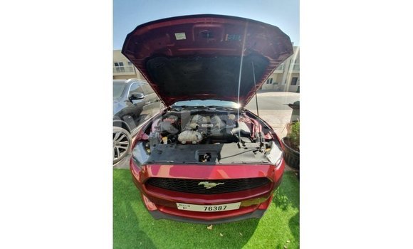 ទិញ នាំចូល Ford Mustang Red ឡាន} ក្នុង Import - Dubai ក្នុង Kampot Province ទិញ នាំចូល Ford Mustang Red ឡាន} ក្នុង Import - Dubai ក្នុង Kampot Province