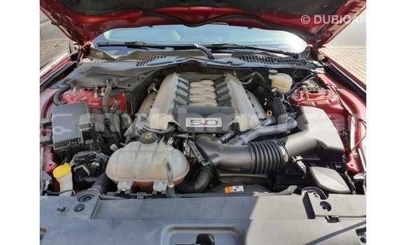 ទិញ នាំចូល Ford Mustang Red ឡាន} ក្នុង Import - Dubai ក្នុង Kampot Province ទិញ នាំចូល Ford Mustang Red ឡាន} ក្នុង Import - Dubai ក្នុង Kampot Province