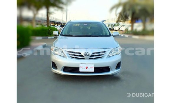ទិញ នាំចូល Toyota Corolla Other ឡាន} ក្នុង Import - Dubai ក្នុង Kampot Province ទិញ នាំចូល Toyota Corolla Other ឡាន} ក្នុង Import - Dubai ក្នុង Kampot Province