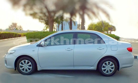 ទិញ នាំចូល Toyota Corolla Other ឡាន} ក្នុង Import - Dubai ក្នុង Kampot Province ទិញ នាំចូល Toyota Corolla Other ឡាន} ក្នុង Import - Dubai ក្នុង Kampot Province