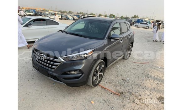 Buy Import Hyundai Tucson Other Car in Import - Dubai in Kampot Province Buy Import Hyundai Tucson Other Car in Import - Dubai in Kampot Province