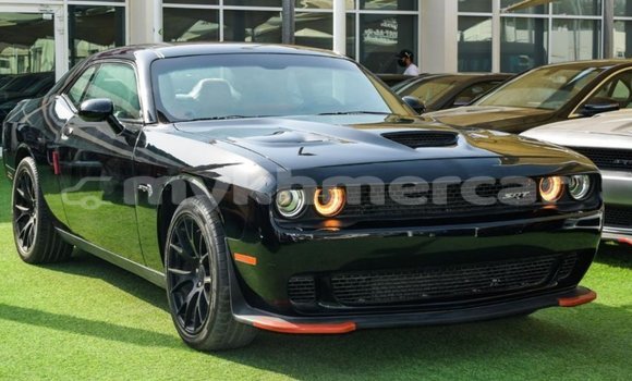 Buy Import Dodge Challenger Black Car in Import - Dubai in Kampot Province