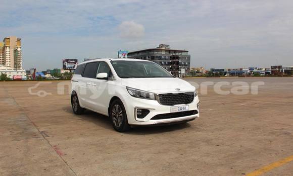 Buy Used Kia Carnival White Car in Phnom Penh in Phnom Penh