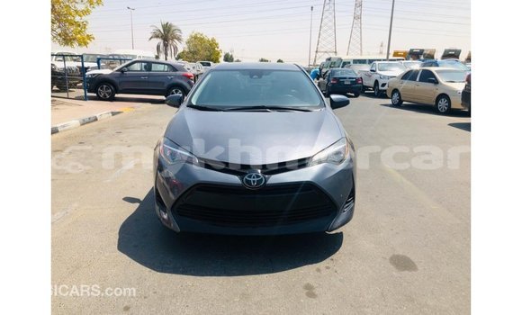 Buy Import Toyota Corolla Other Car in Import - Dubai in Kampot Province Buy Import Toyota Corolla Other Car in Import - Dubai in Kampot Province