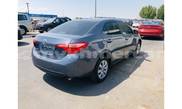 Buy Import Toyota Corolla Other Car in Import - Dubai in Kampot Province Buy Import Toyota Corolla Other Car in Import - Dubai in Kampot Province