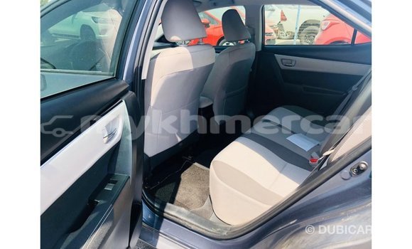Buy Import Toyota Corolla Other Car in Import - Dubai in Kampot Province Buy Import Toyota Corolla Other Car in Import - Dubai in Kampot Province
