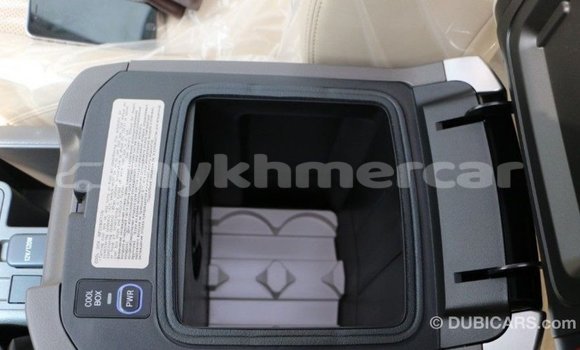 Buy Import Toyota Prado Black Car in Import - Dubai in Kampot Province Buy Import Toyota Prado Black Car in Import - Dubai in Kampot Province