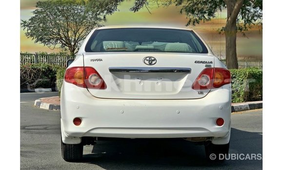Acheter Import Voiture Toyota Corolla Blanc à Import - Dubai, Kampot Province Acheter Import Voiture Toyota Corolla Blanc à Import - Dubai, Kampot Province