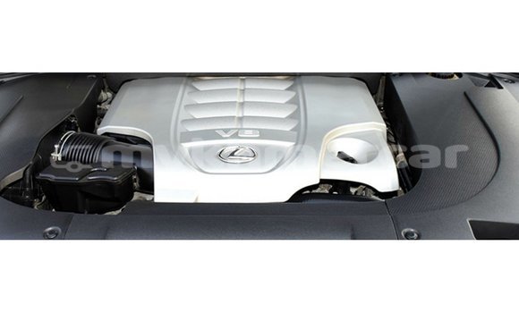 ទិញ នាំចូល Lexus LX White ឡាន} ក្នុង Import - Dubai ក្នុង Kampot Province ទិញ នាំចូល Lexus LX White ឡាន} ក្នុង Import - Dubai ក្នុង Kampot Province