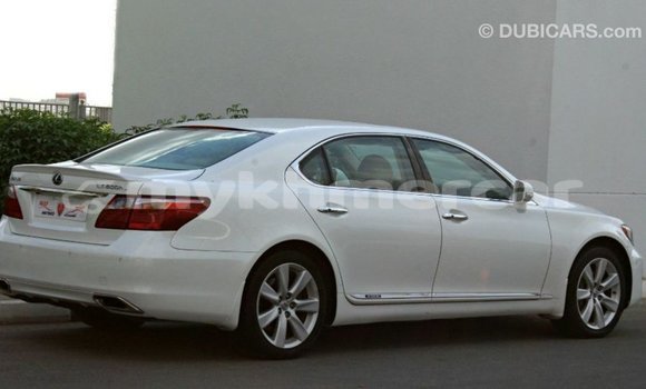 ទិញ នាំចូល Lexus LS White ឡាន} ក្នុង Import - Dubai ក្នុង Kampot Province ទិញ នាំចូល Lexus LS White ឡាន} ក្នុង Import - Dubai ក្នុង Kampot Province