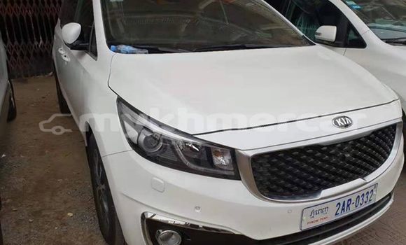 Buy Used Kia Carnival White Car in Phnom Penh in Phnom Penh Buy Used Kia Carnival White Car in Phnom Penh in Phnom Penh