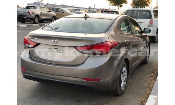 Buy Import Hyundai Elantra Brown Car in Import - Dubai in Kampot Province Buy Import Hyundai Elantra Brown Car in Import - Dubai in Kampot Province