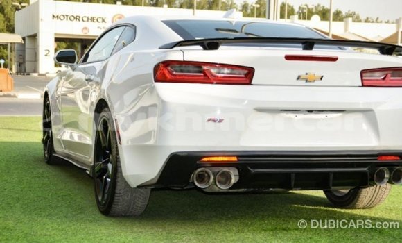 Buy Import Chevrolet Camaro White Car in Import - Dubai in Kampot Province Buy Import Chevrolet Camaro White Car in Import - Dubai in Kampot Province