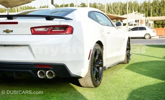 Buy Import Chevrolet Camaro White Car in Import - Dubai in Kampot Province Buy Import Chevrolet Camaro White Car in Import - Dubai in Kampot Province