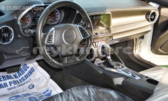 Buy Import Chevrolet Camaro White Car in Import - Dubai in Kampot Province Buy Import Chevrolet Camaro White Car in Import - Dubai in Kampot Province