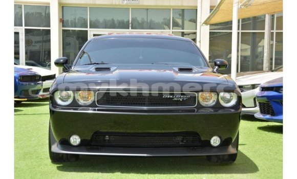 Buy Import Dodge Challenger Black Car in Import - Dubai in Kampot Province