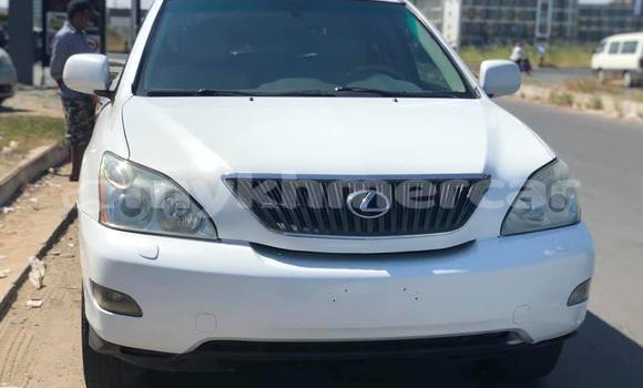 Buy Used Lexus RX 330 White Car in Phnom Penh in Phnom Penh
