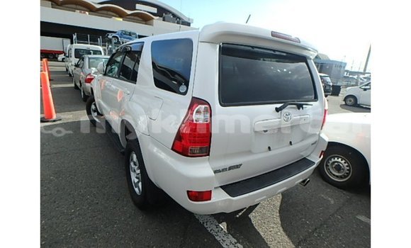 Buy Import Toyota Hilux White Car in Import - Dubai in Kampot Province Buy Import Toyota Hilux White Car in Import - Dubai in Kampot Province
