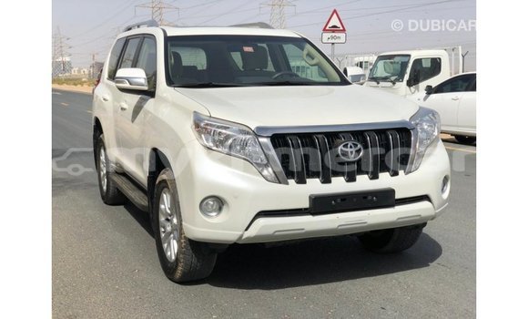ទិញ នាំចូល Toyota Prado White ឡាន} ក្នុង Import - Dubai ក្នុង Kampot Province ទិញ នាំចូល Toyota Prado White ឡាន} ក្នុង Import - Dubai ក្នុង Kampot Province
