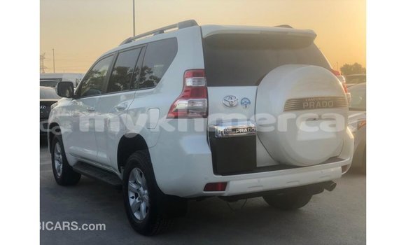ទិញ នាំចូល Toyota Prado White ឡាន} ក្នុង Import - Dubai ក្នុង Kampot Province ទិញ នាំចូល Toyota Prado White ឡាន} ក្នុង Import - Dubai ក្នុង Kampot Province